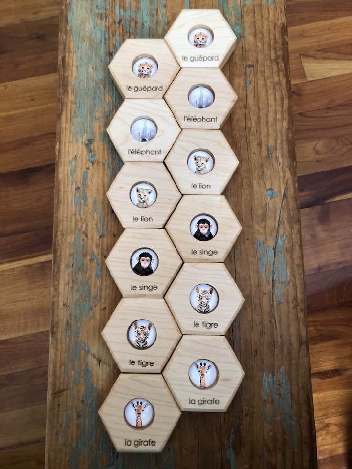 Hexagon Memory Set - Zoo Animals