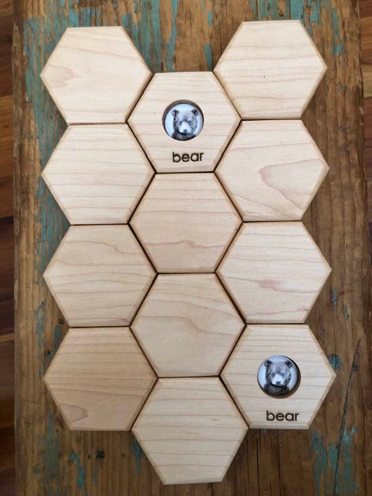 Hexagon Memory Set - Forest Animals