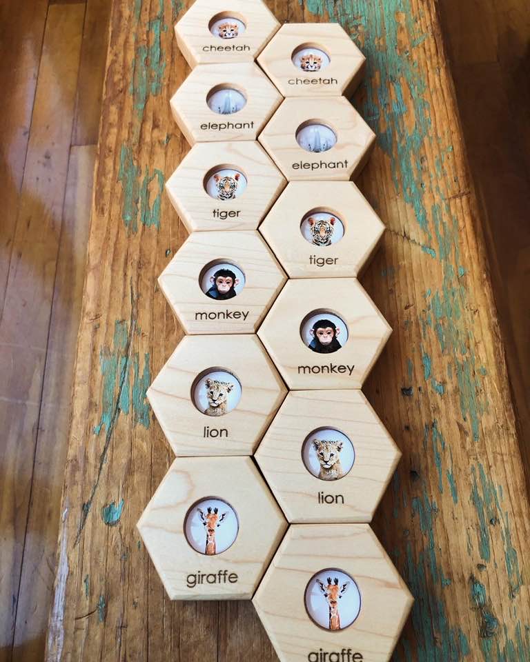 Hexagon Memory Set - Zoo Animals