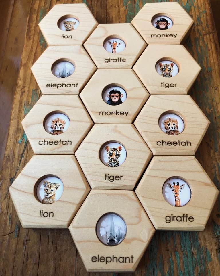 Hexagon Memory Set - Zoo Animals