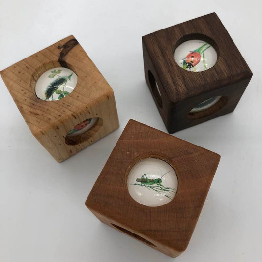 Story Cube - Insects