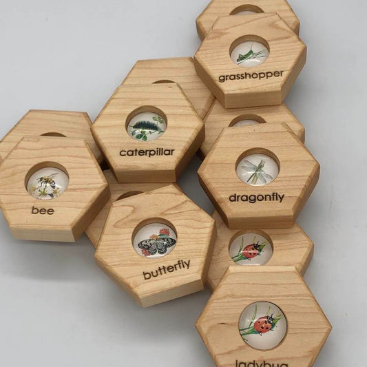 Hexagon - Insects Memory Set