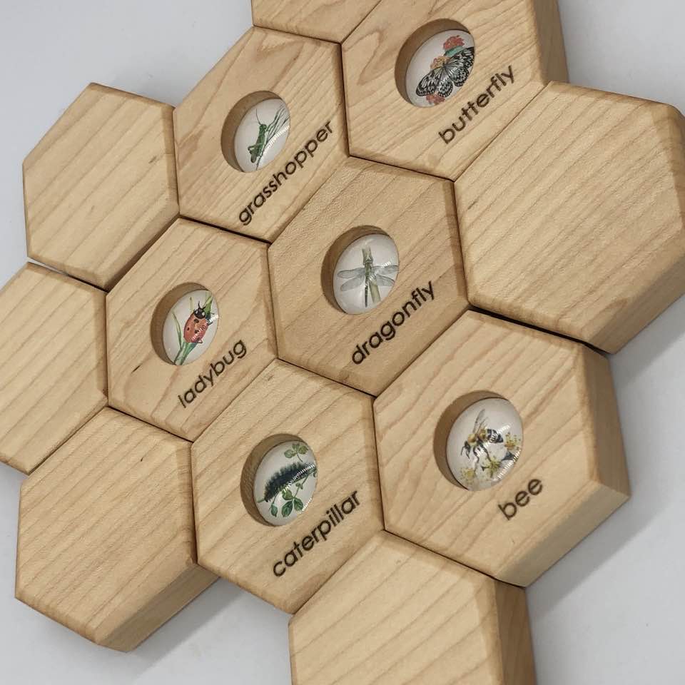 Hexagon Memory Set - Insects