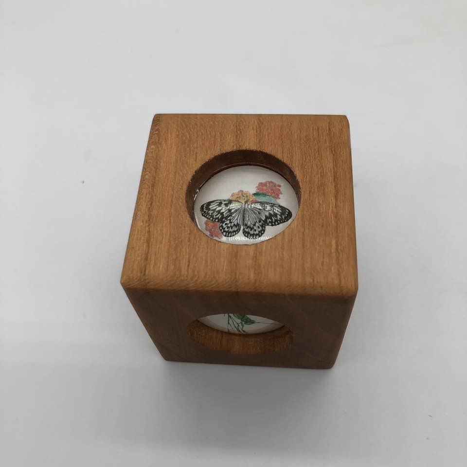 Story Cube - Insects