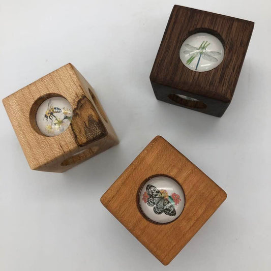 Story Cube - Insects