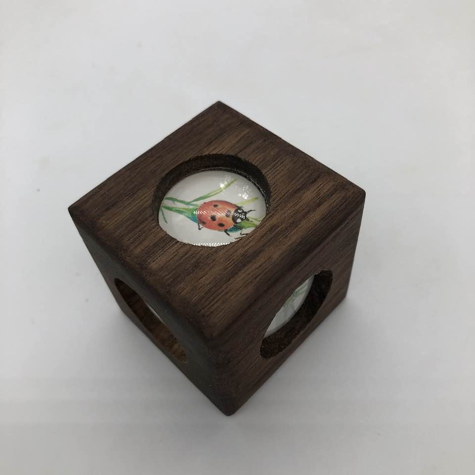 Story Cube - Insects