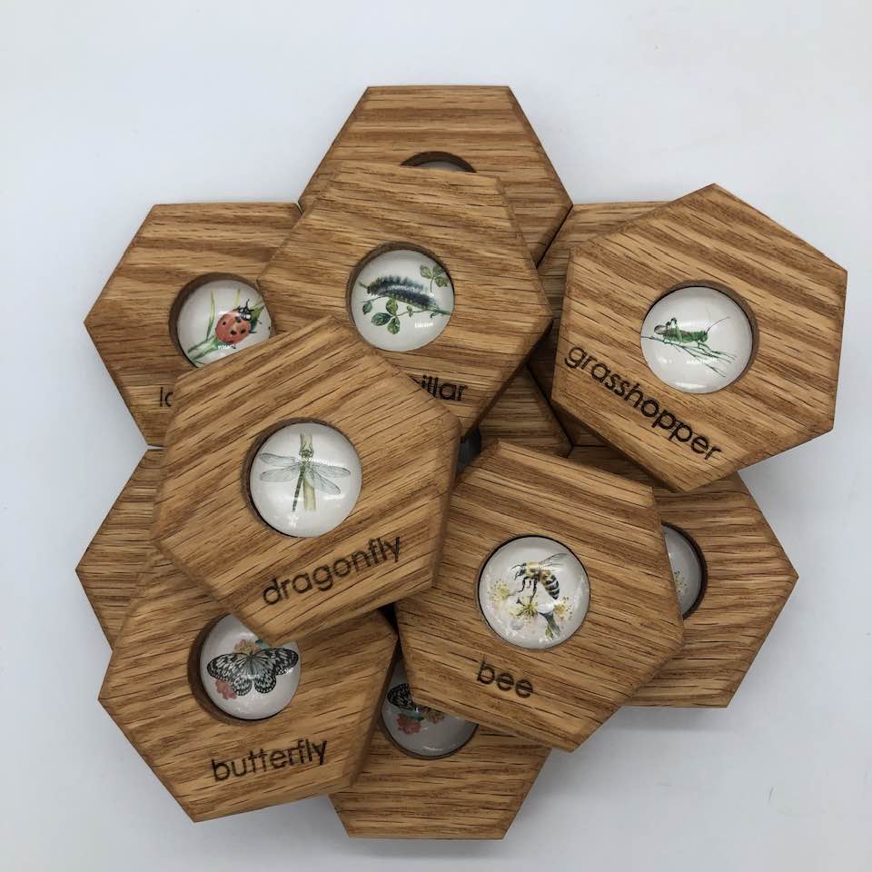 Hexagon Memory Set - Insects