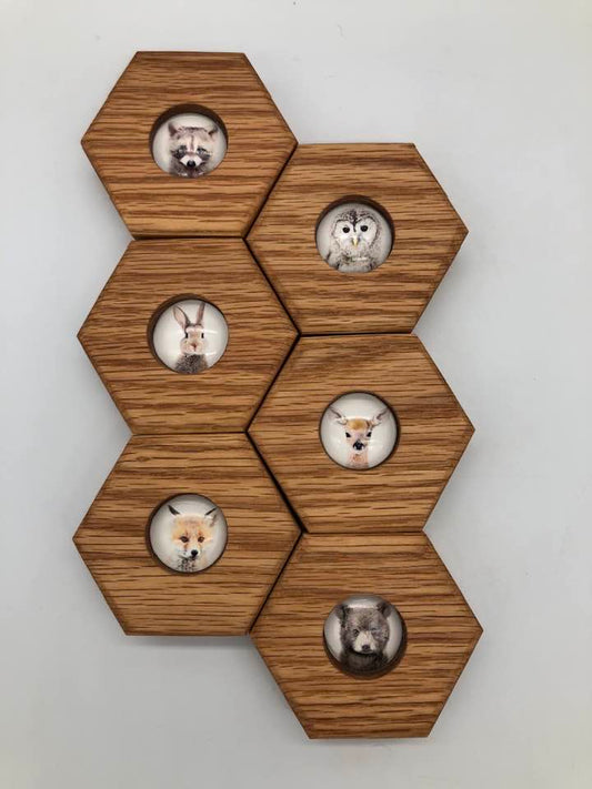 RED OAK SALE - Hexagon Memory - Forest Animals