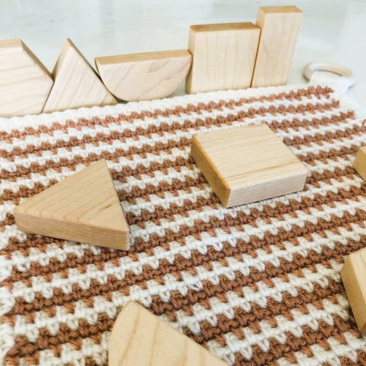 Baby's First Blocks & Lovey Set