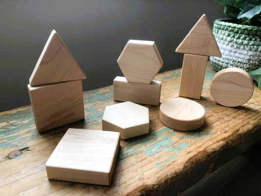 Baby's First Blocks - 10 pc.