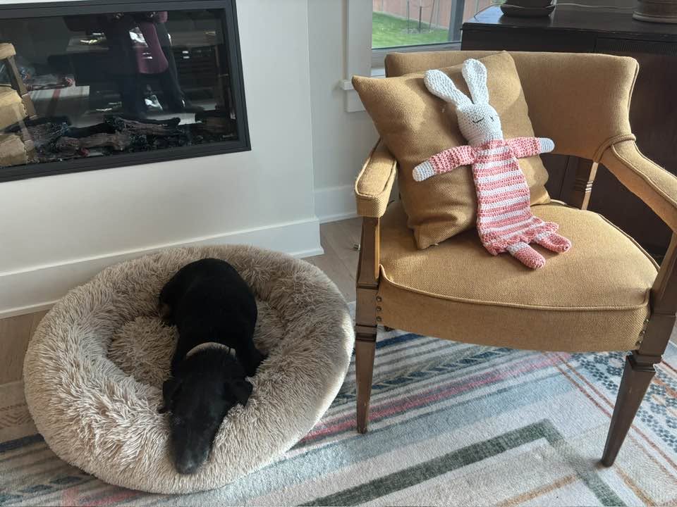 Flopsy Snuggle Bunny