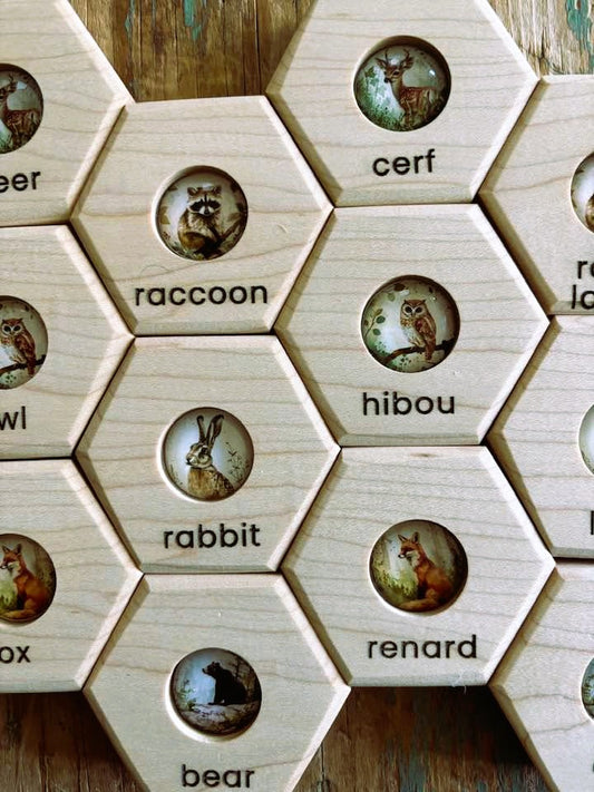 Hexagon Memory Set - Classic Forest Animals - Bilingual