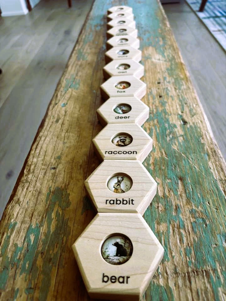 Hexagon Memory Set - Classic Forest Animals - Bilingual