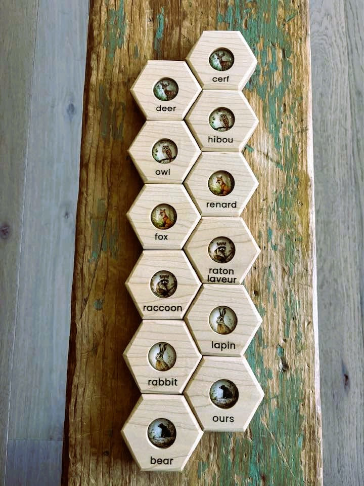 Hexagon Memory Set - Classic Forest Animals - Bilingual
