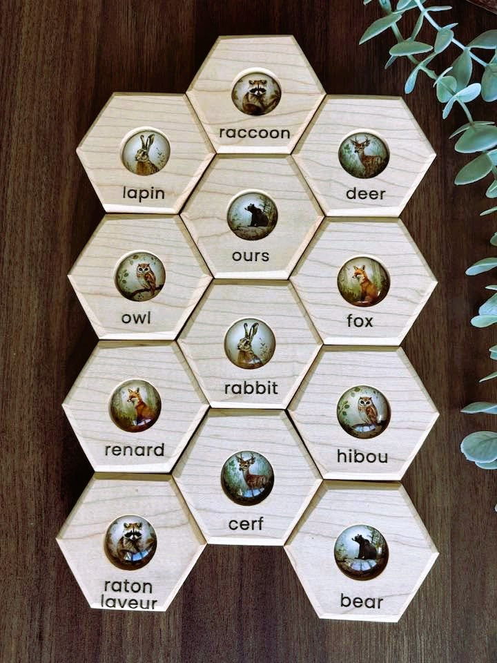 Hexagon Memory Set - Classic Forest Animals - Bilingual