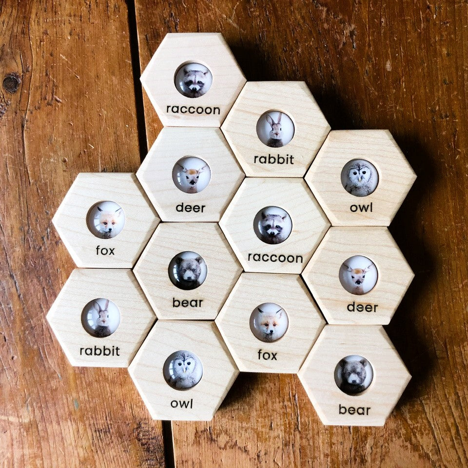 Hexagon Memory Set - Forest Animals - CELEBRATING CANADA SALE!