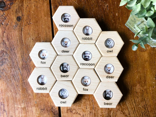 Hexagon Memory Set - Forest Animals - CELEBRATING CANADA SALE!