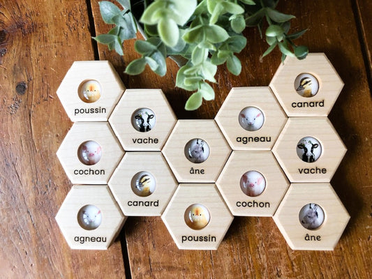 Hexagon Memory Set - Farm Animals