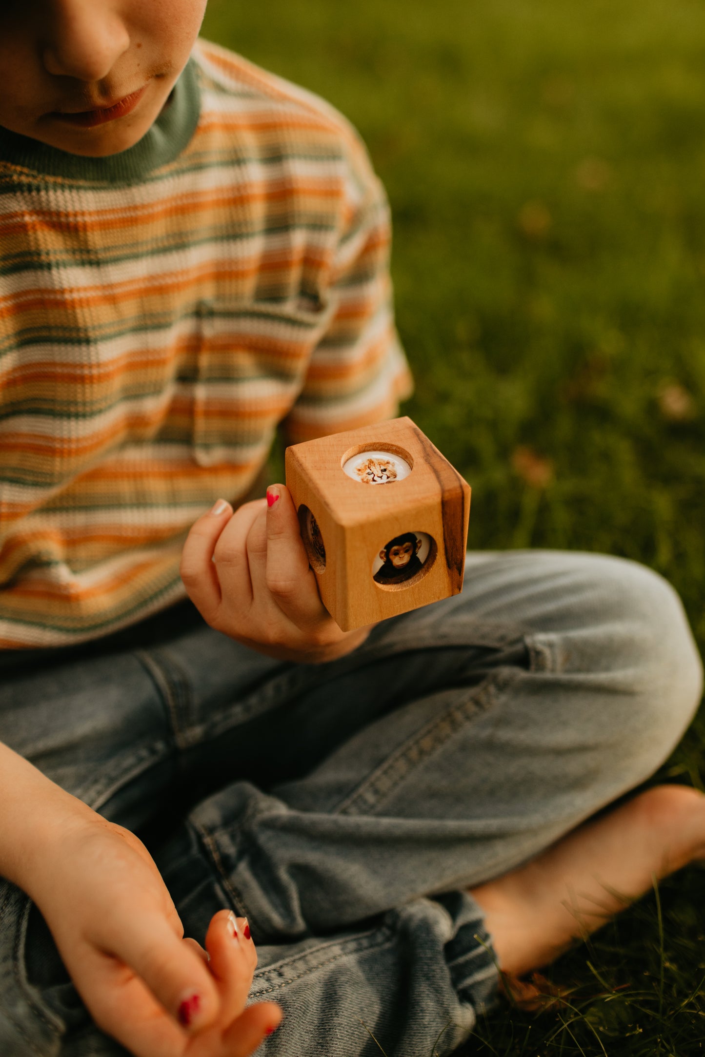 Story Cube - Zoo Animals