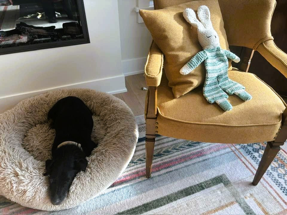 Flopsy Snuggle Bunny