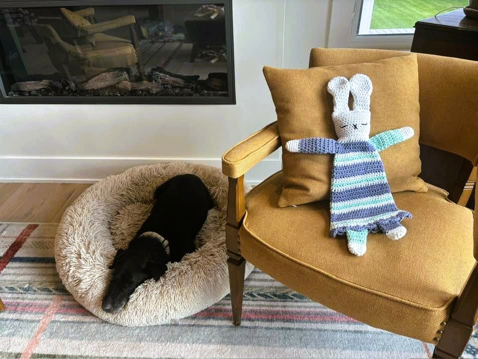 Flopsy Snuggle Bunny