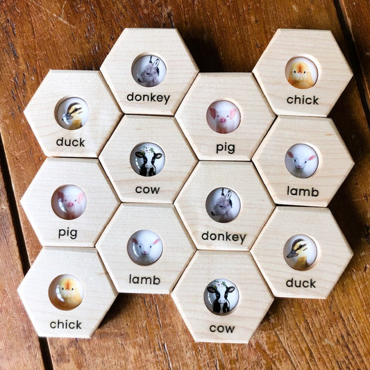 Hexagon Memory Set - Farm Animals