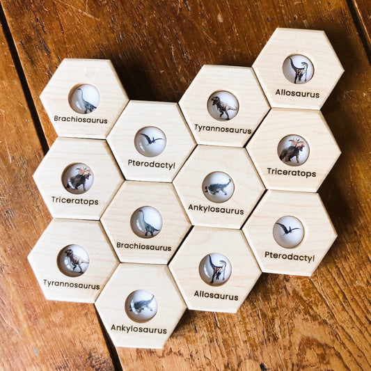 Hexagon Memory Set - Dinosaurs