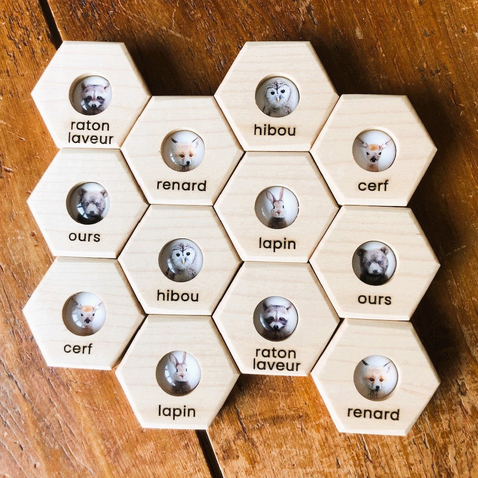 Hexagon Memory Set - Forest Animals - CELEBRATING CANADA SALE!