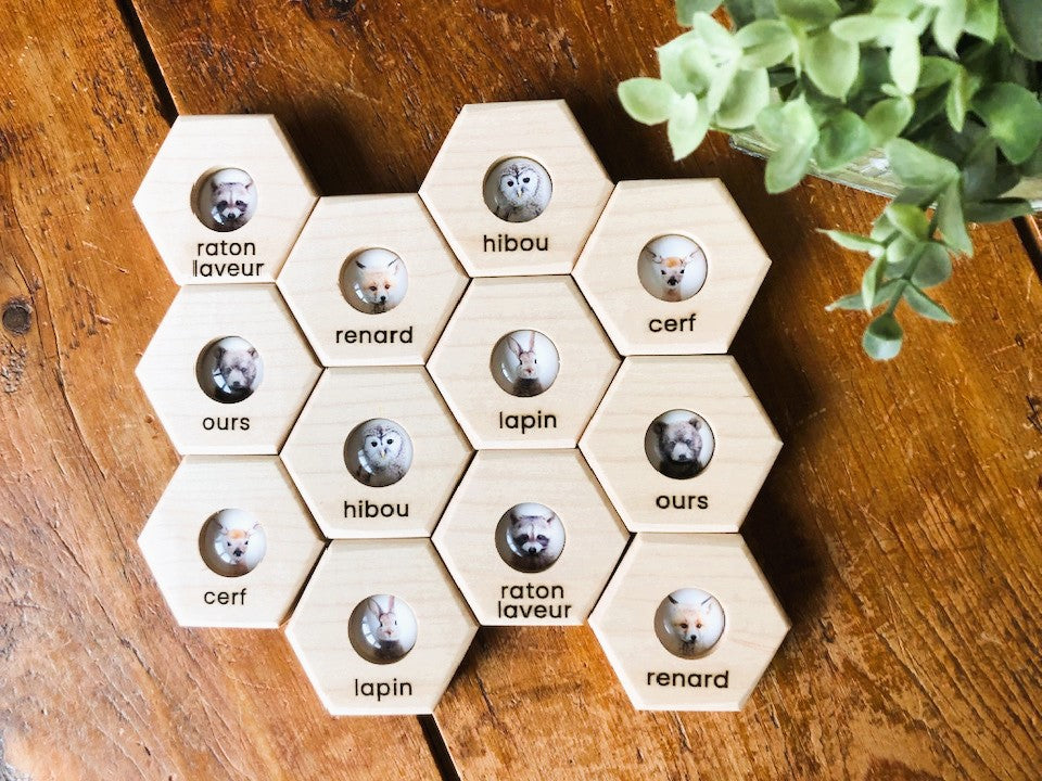 Hexagon Memory Set - Forest Animals - CELEBRATING CANADA SALE!