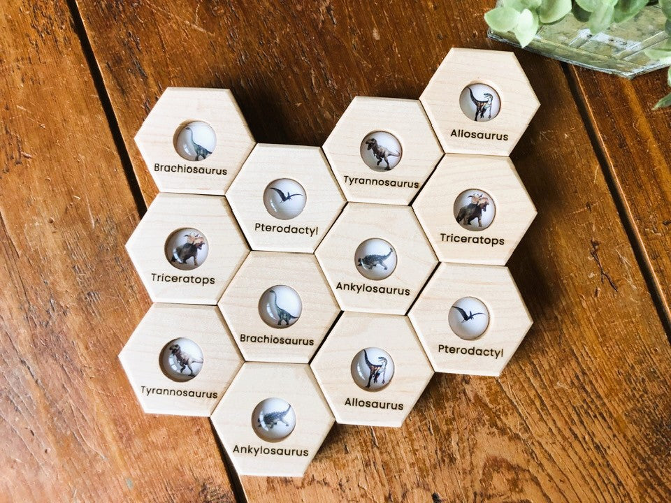 Hexagon Memory Set - Dinosaurs