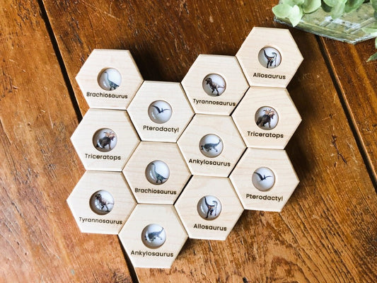 Hexagon Memory Set - Dinosaurs