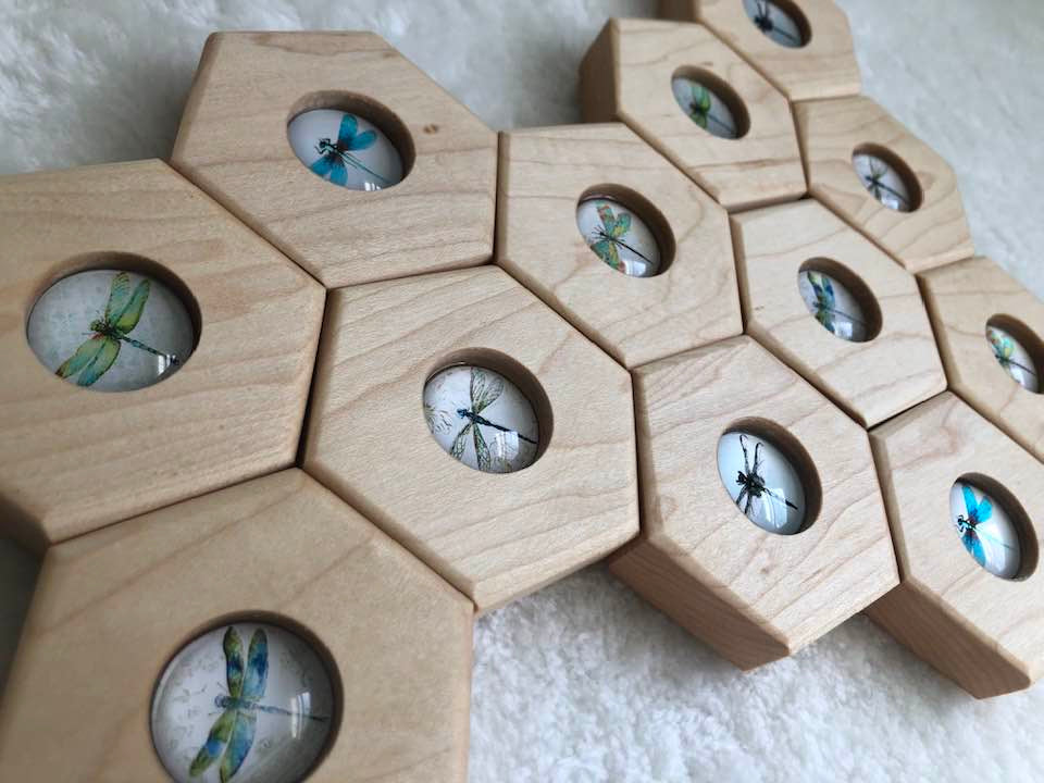 Hexagon Memory Set - Dragonflies