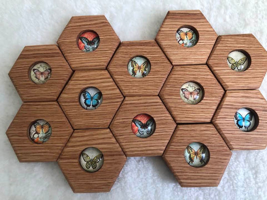 RED OAK SALE - Hexagon Memory Set - Butterflies - 12 pc.