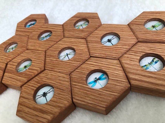 RED OAK SALE - Hexagon Memory Set - Dragonflies