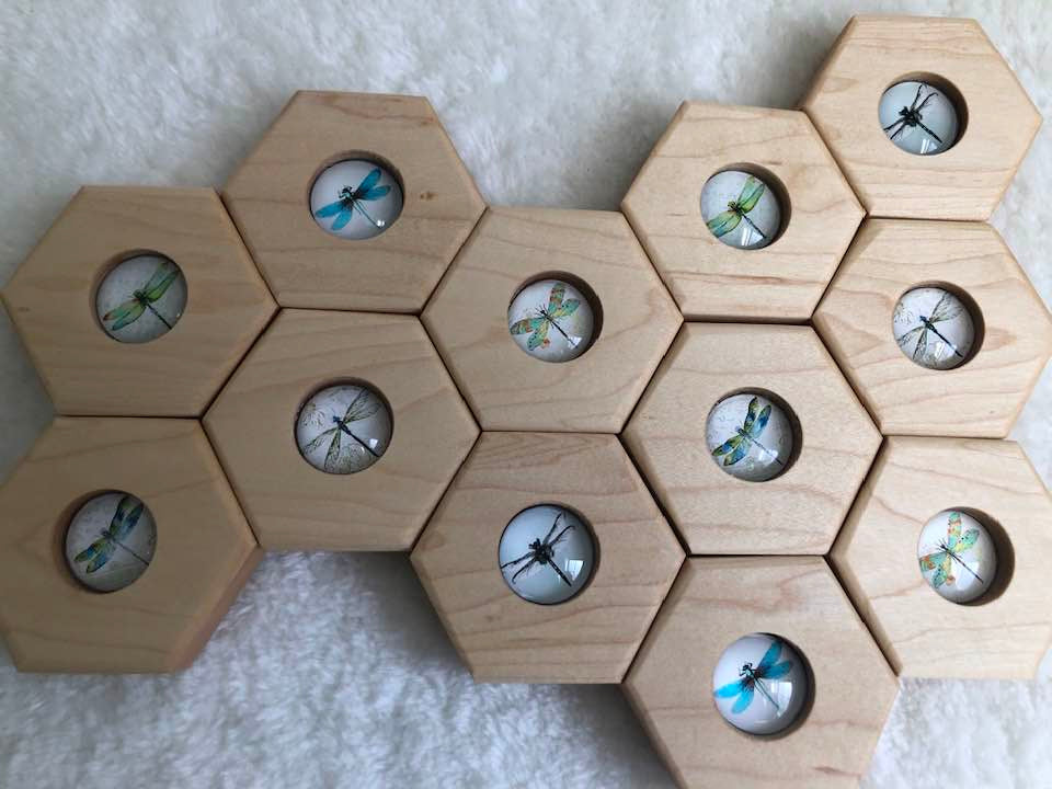 Hexagon Memory Set - Dragonflies