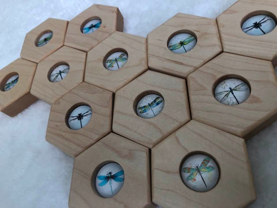Hexagon Memory Set - Dragonflies